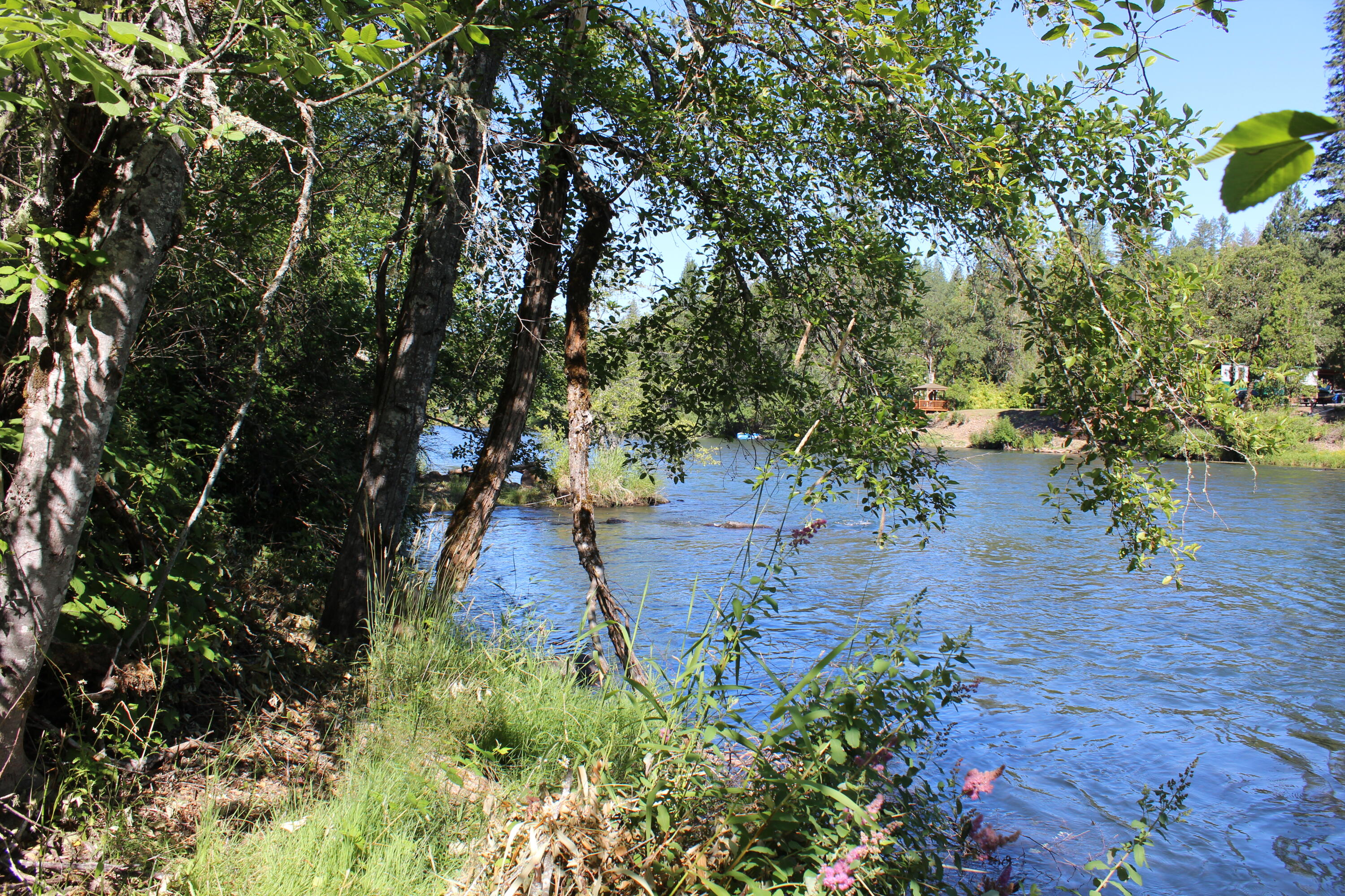 Old Ferry Road Shady Cove, OR 97539 - Photo 24 of 33 IMG_2194