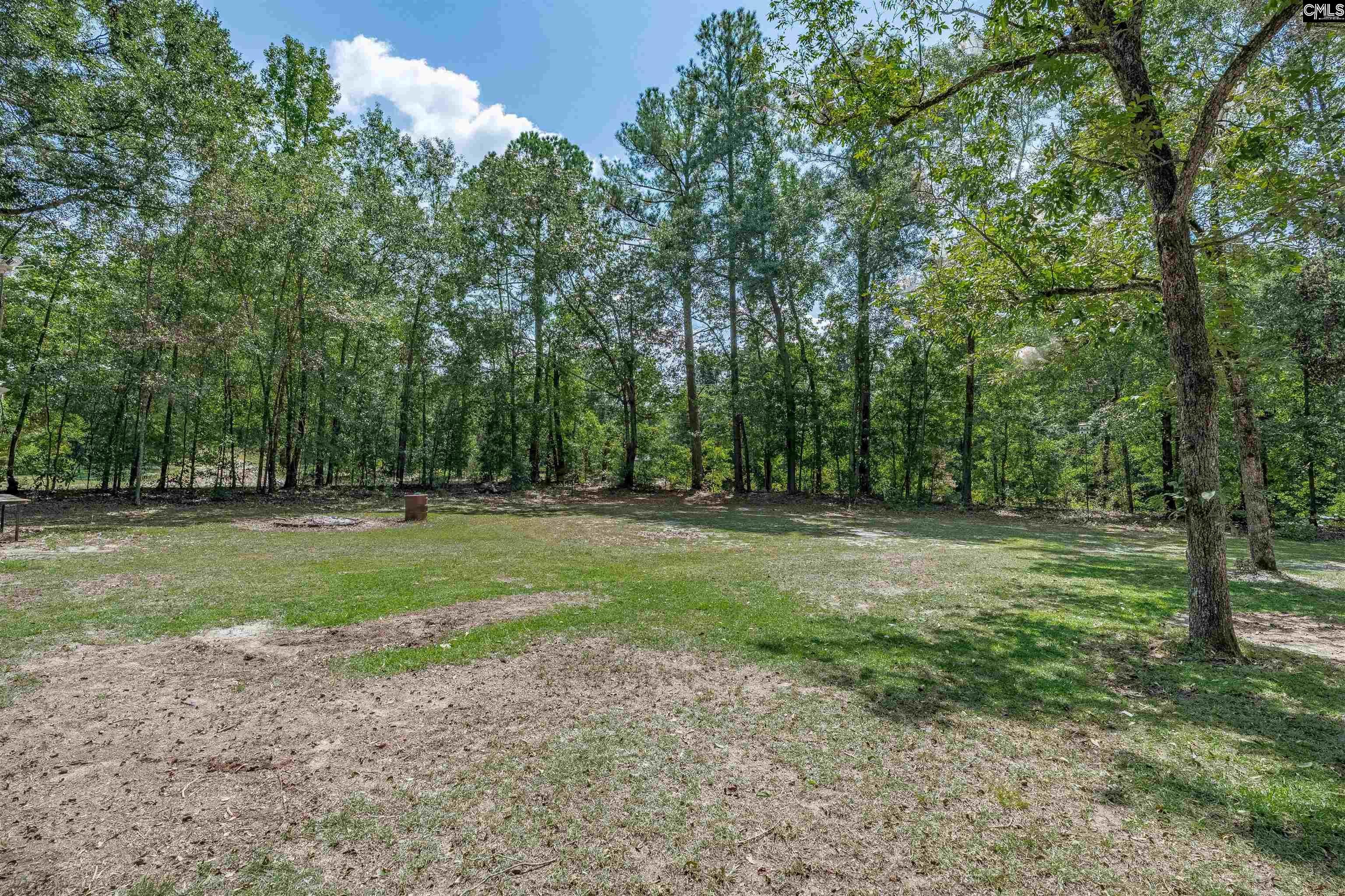 2115 Old State Road Swansea, SC 29160 - Photo 45 of 45 Gallery Image 45