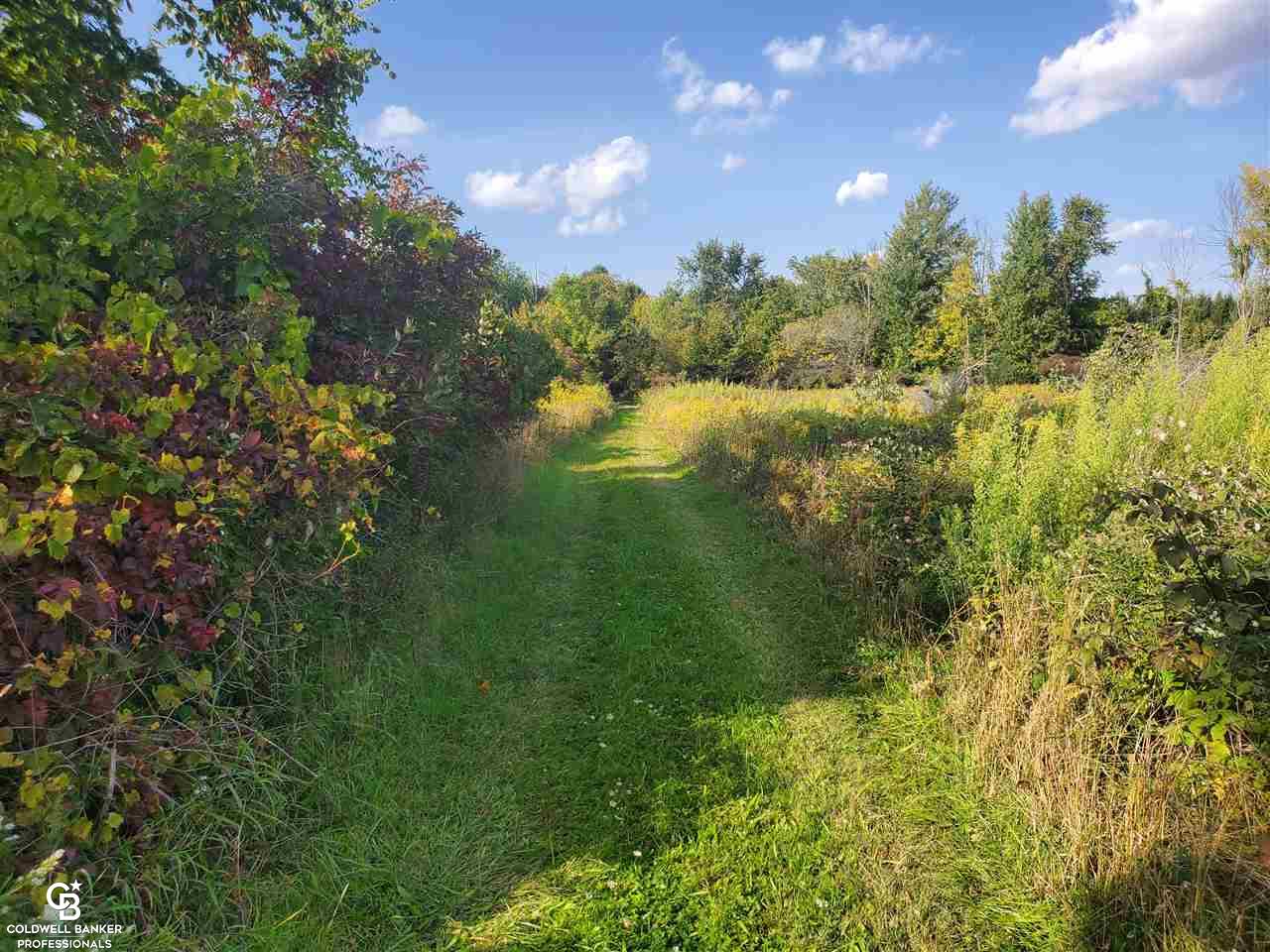 600 West Galbraith Line Road Melvin, MI 48454 - Photo 9 of 54 Gallery Image 9