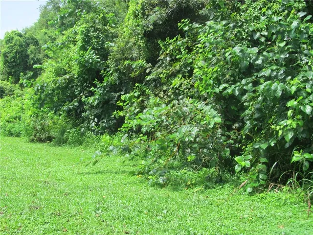 $336,000 | 0 Donald & Winston Street, New Orleans, LA 70131