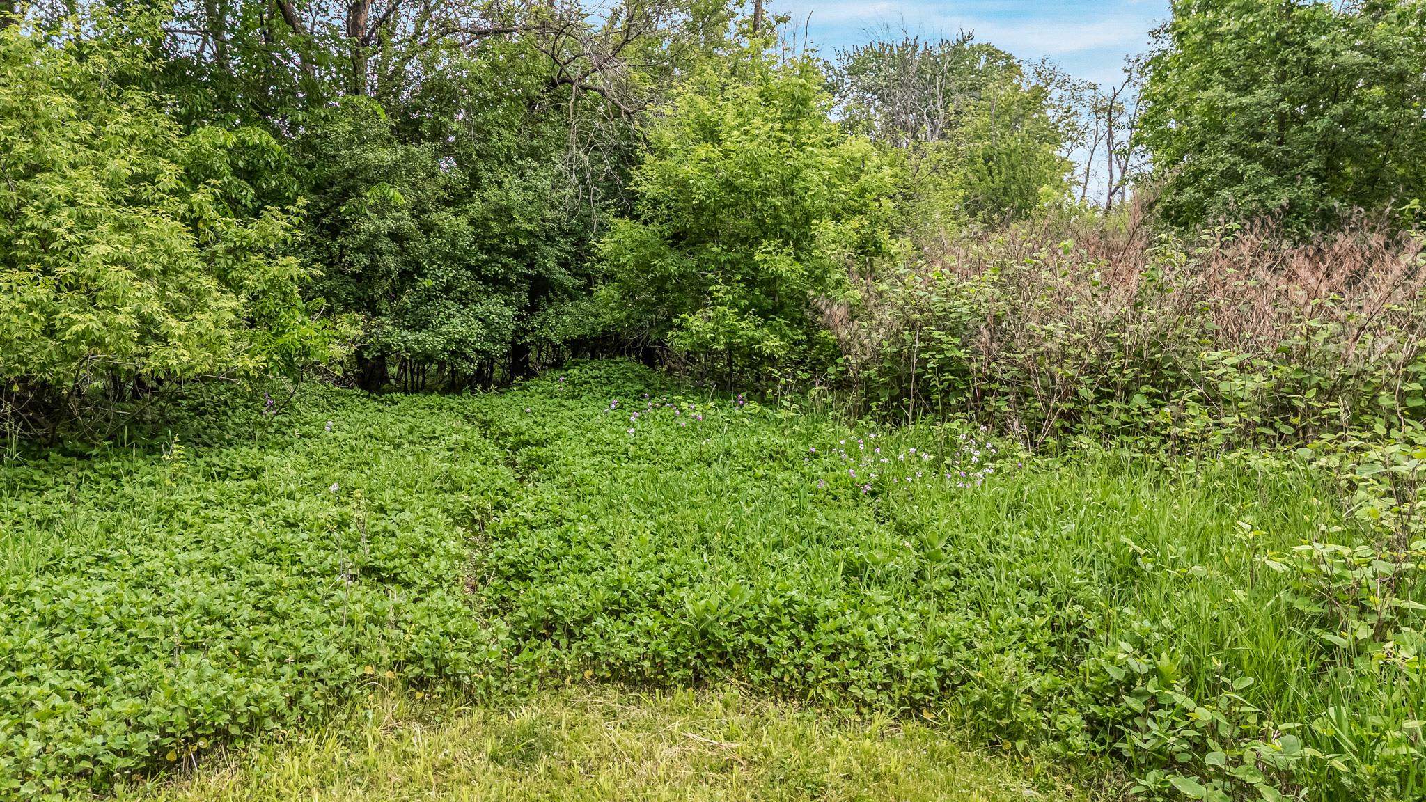 825 Welcome Road Menasha, WI 54952 - Photo 6 of 17