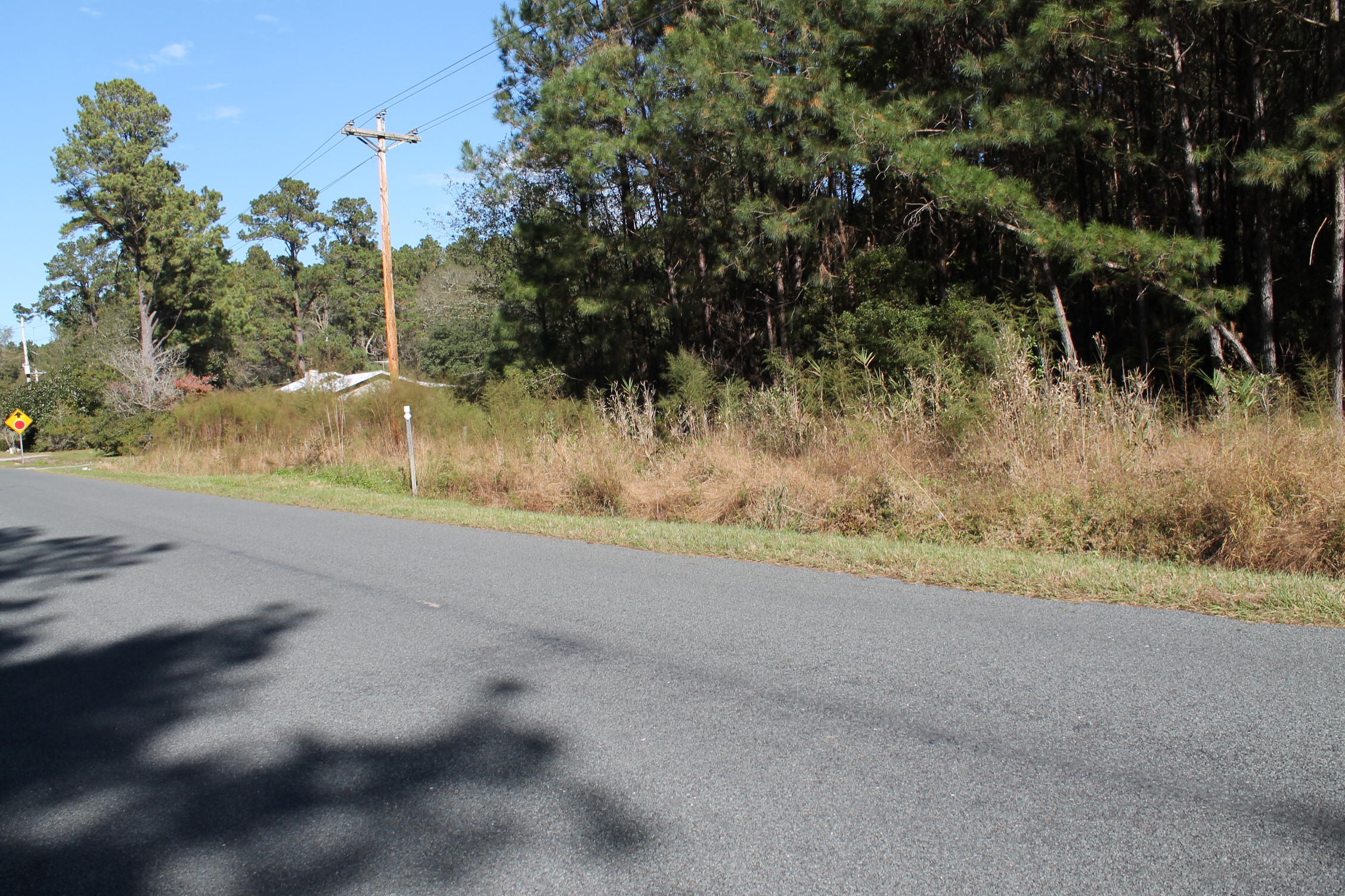 0 Rum Gully Road Islandton, SC 29929 - Photo 2 of 7 IMG_8278