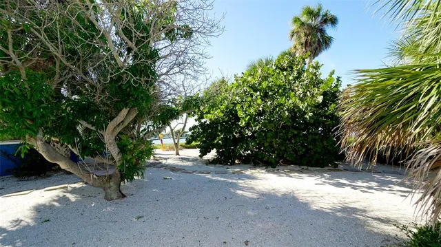 a view of a road with plants and large trees