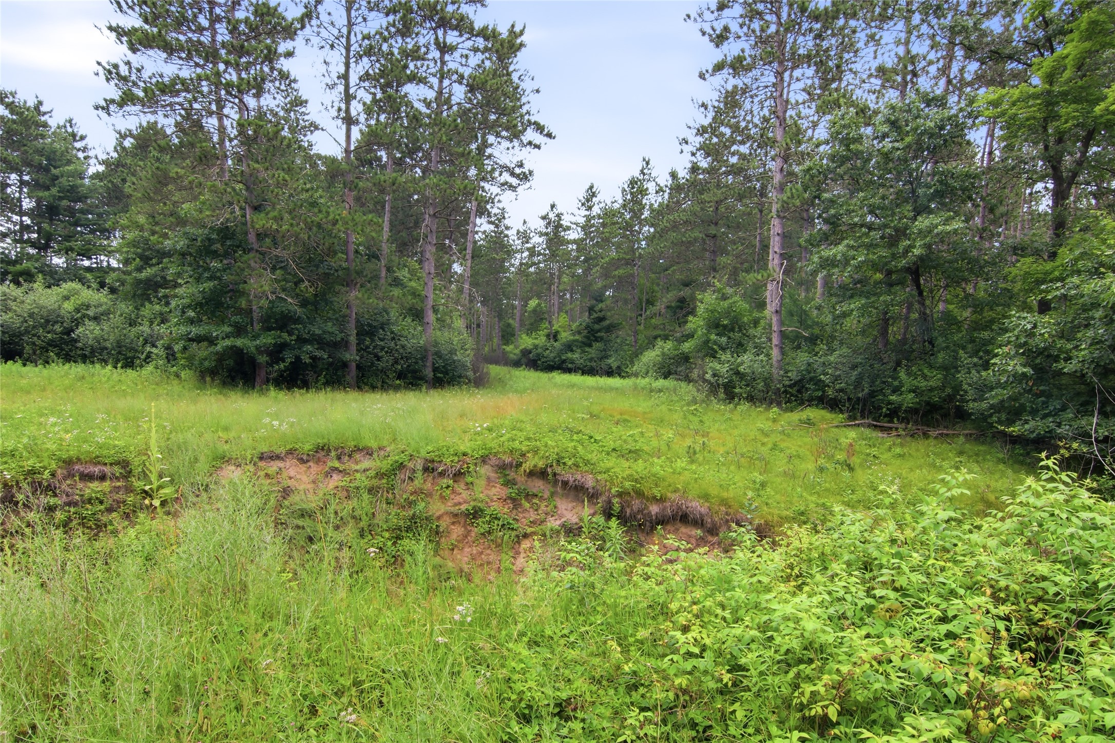 0 West Road Black River Falls, WI 54615 - Photo 40 of 43