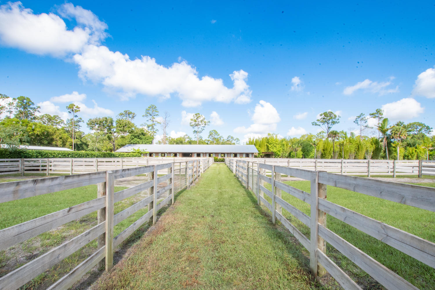 495 E Road Loxahatchee Groves, FL 33470 - Photo 40 of 73 495 E Rd Loxahatchee FL 33470-large-050-
