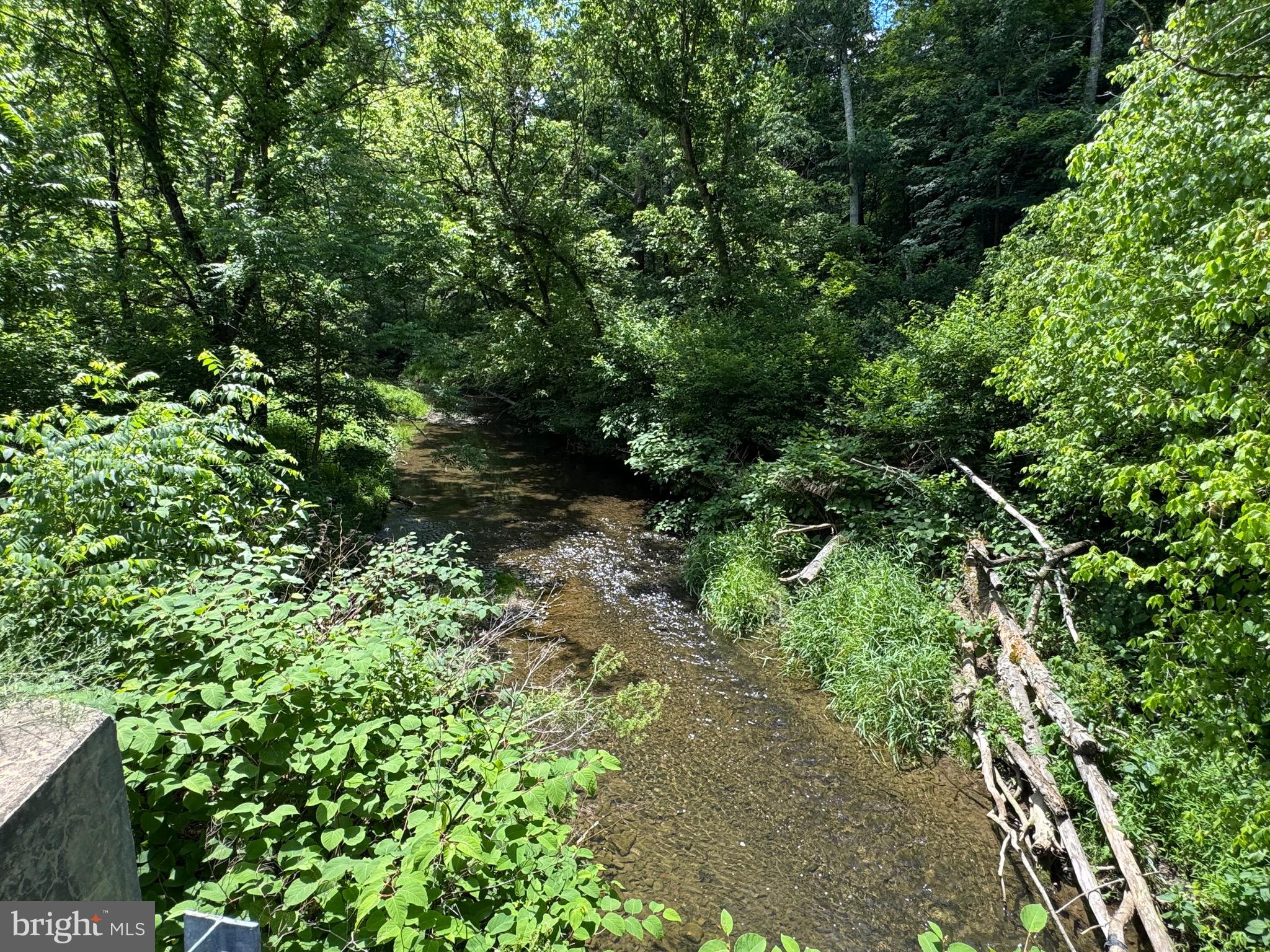 Sand Mine Rd Creek, Unit BY Berkeley Springs, WV 25411 - Photo 6 of 11