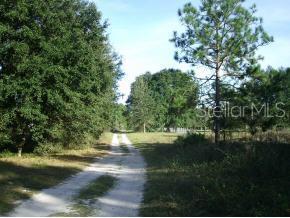 0 Northeast 73rd Terrace Road Citra, FL 32113 - Photo 1 of 1 a view of back yard