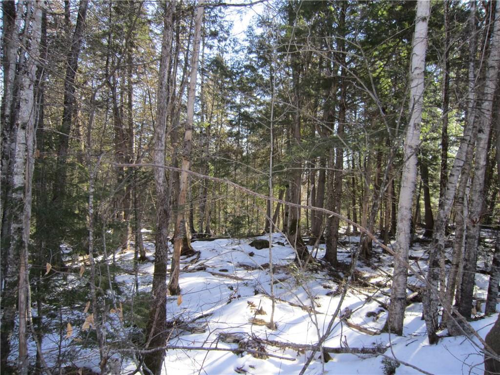Lot 5-1 Jellison Meadow Road Ellsworth, ME 04605 - Photo 5 of 20 Looking downhill from road. East and...