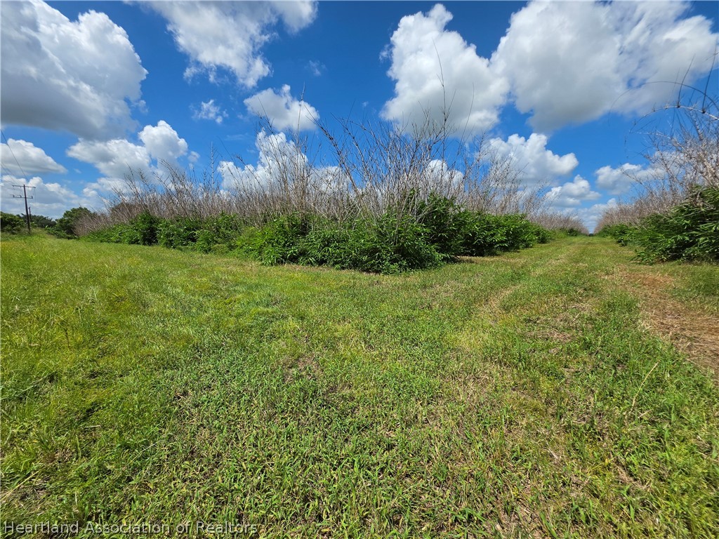 0 West St Road Wauchula, FL 33873 - Photo 16 of 24
