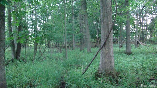 4 Thornville Road Metamora, MI 48455 - Photo 13 of 13 thornville rd. parcels 4,5,6 &7