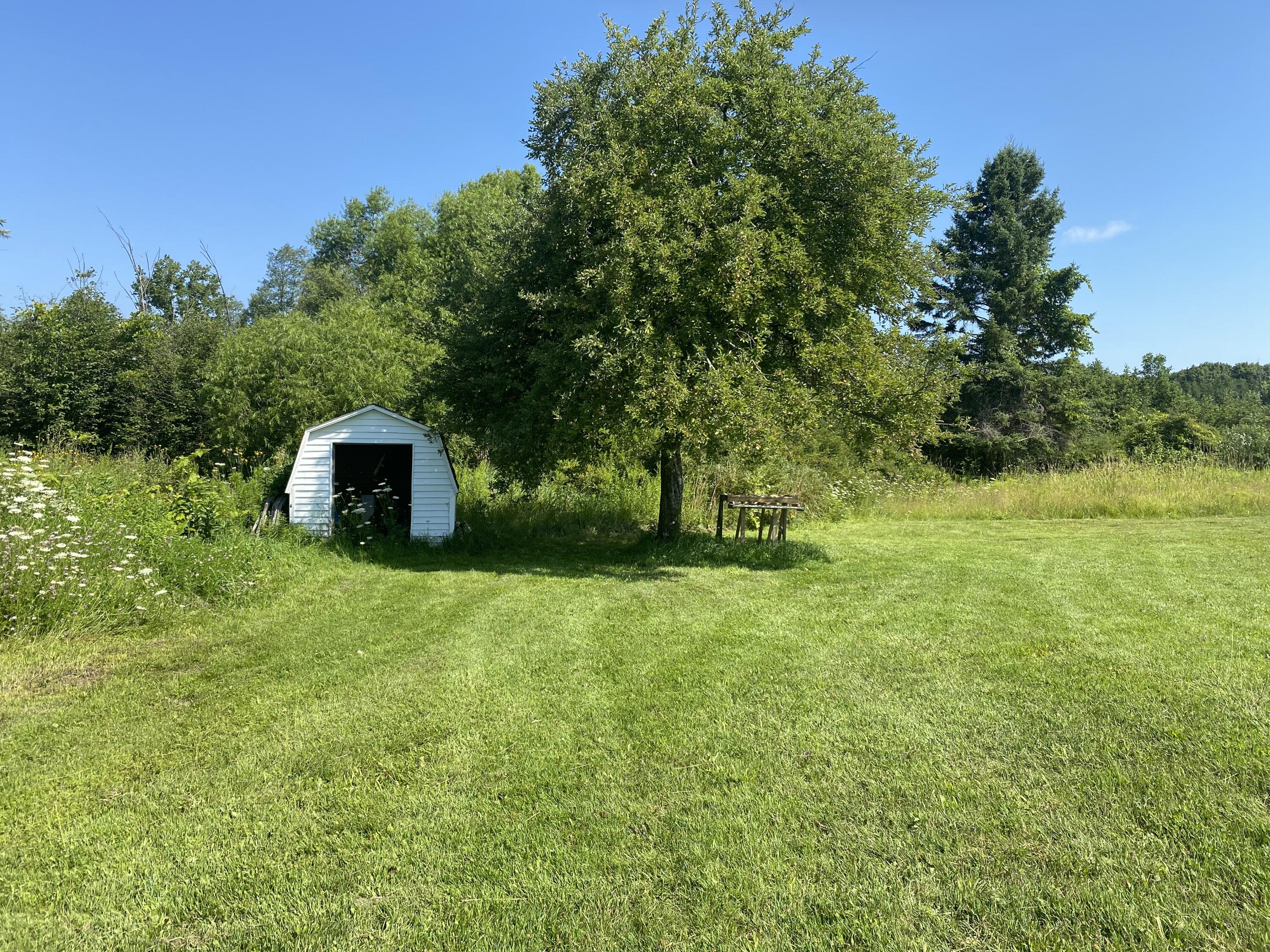 220 9 Mile Road Remus, MI 49340 - Photo 22 of 30 IMG_1687