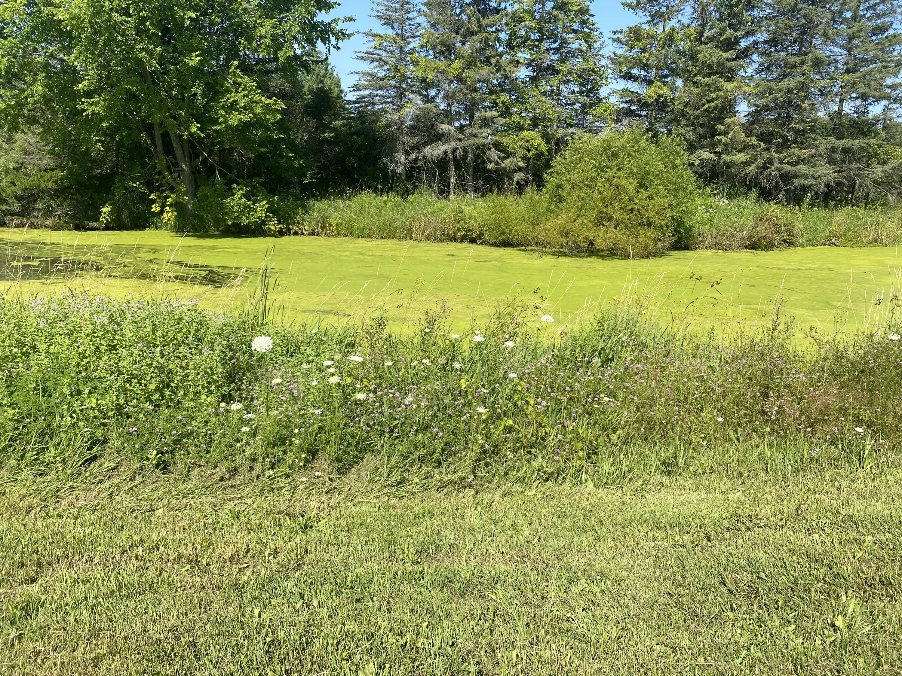 220 9 Mile Road Remus, MI 49340 - Photo 23 of 30 IMG_1688