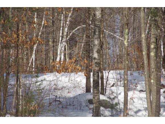Shady Nook Road West Newfield, ME 04056 - Photo 1 of 1