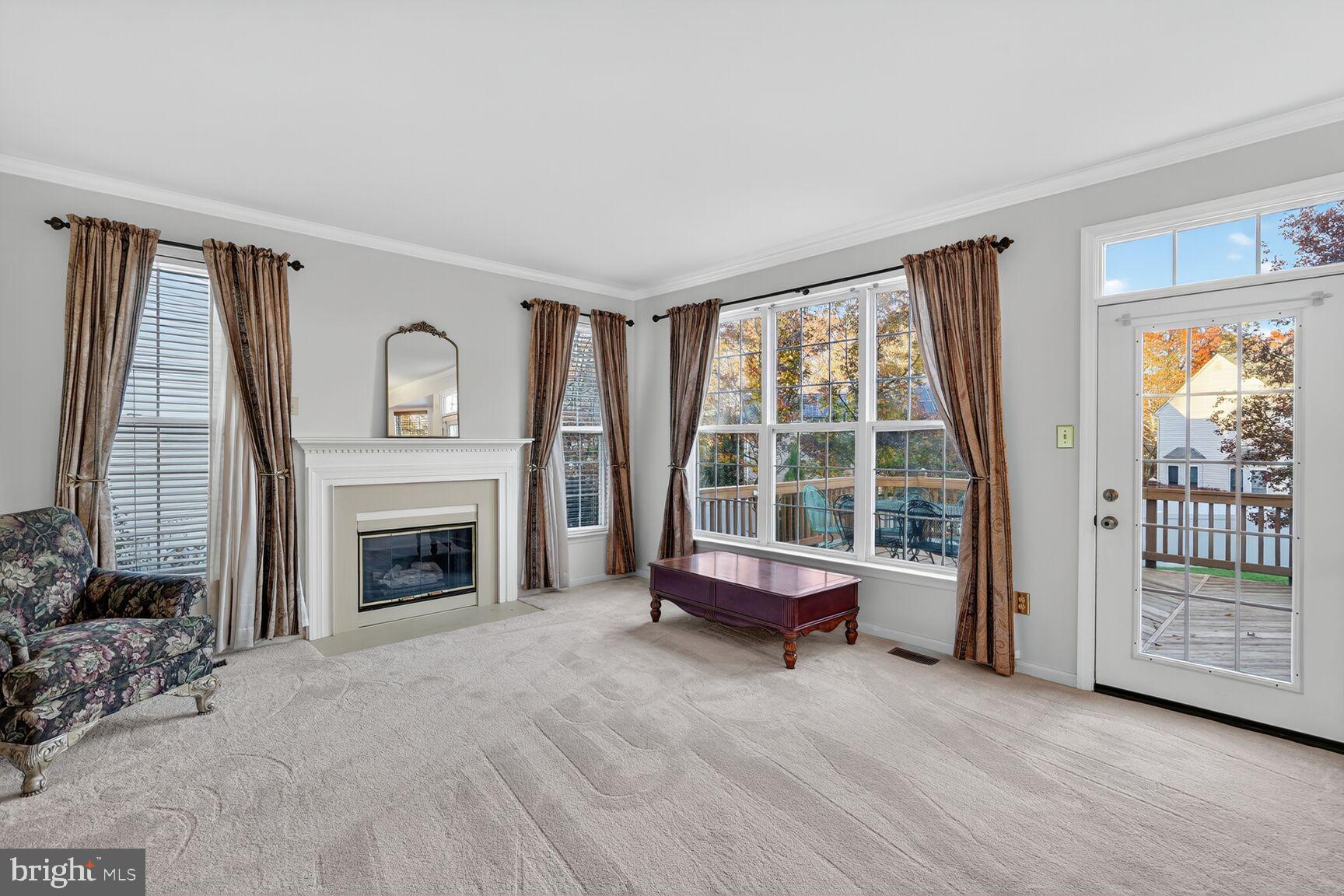 8205 Swamp Rose Place Laurel, MD 20724 - Photo 11 of 34 a living room with furniture and a fireplace