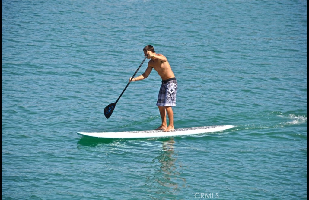 34122 Selva Road, Unit 275 Dana Point, CA 92629 - Photo 34 of 44 PADDLEBOARDING IN THE HARBOR