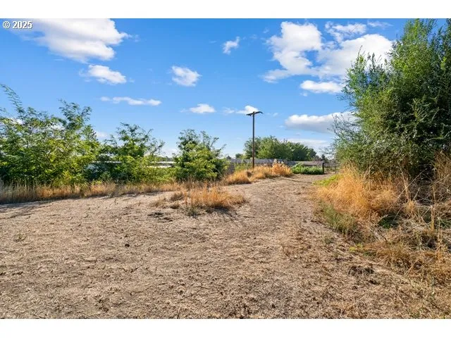 a view of a yard with a house
