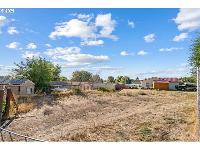a view of a yard with a tree