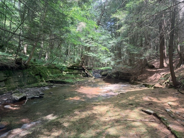 Lot 35 Webster Brook Road Bloomville, NY 13739 - Photo 24 of 42