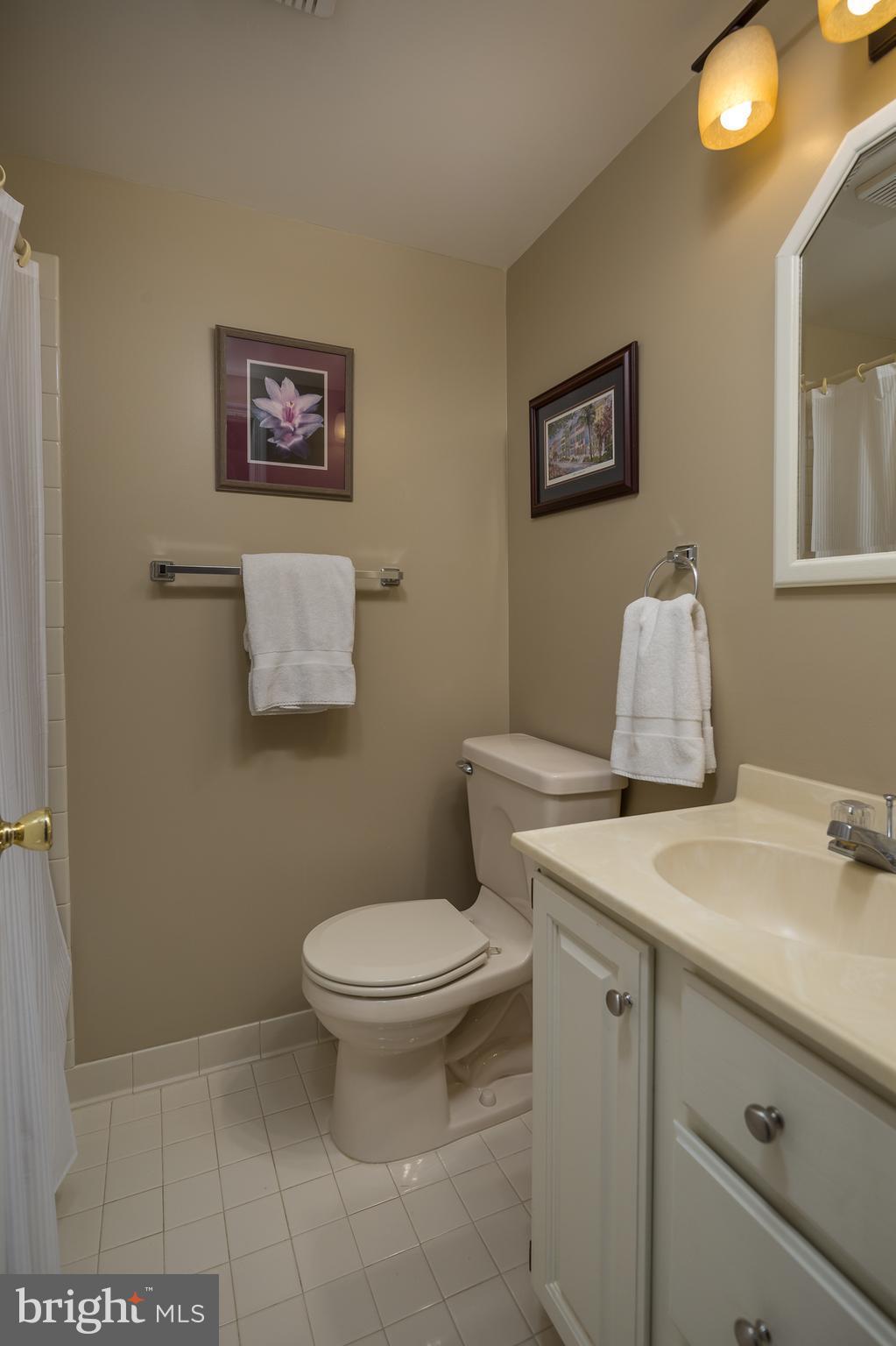 7010 Holyrood Drive McLean, VA 22101 - Photo 26 of 30 Lower Level Full Bath