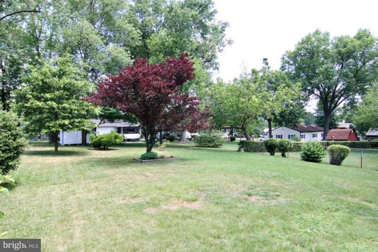 8404 Holly Street Laurel, MD 20707 - Photo 14 of 15 Back yard