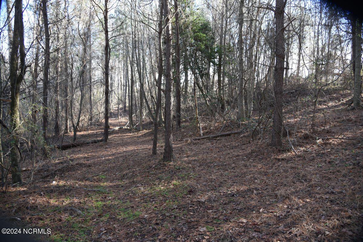 0 Cattail Road Elm City, NC 27822 - Photo 9 of 16 08