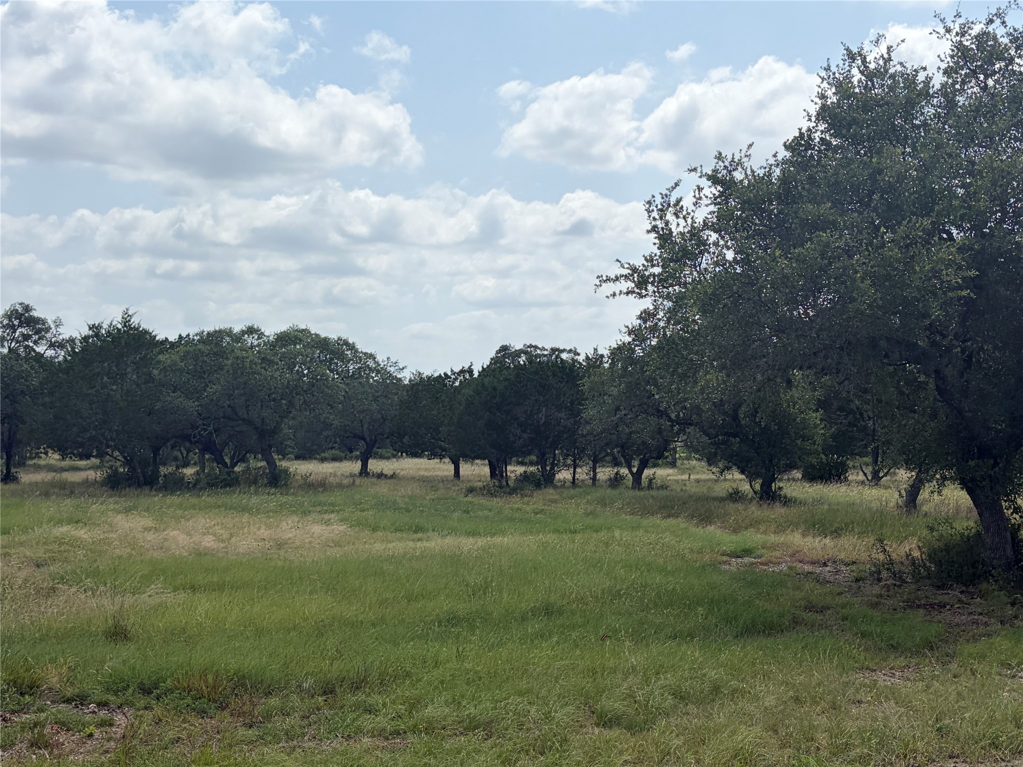 336 River Cliff Place Spring Branch, TX 78070 - Photo 10 of 14