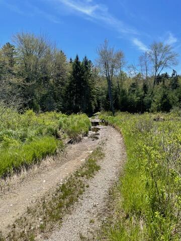 44 Holmes Lane Cushing, ME 04563 - Photo 102 of 107 IMG_8565