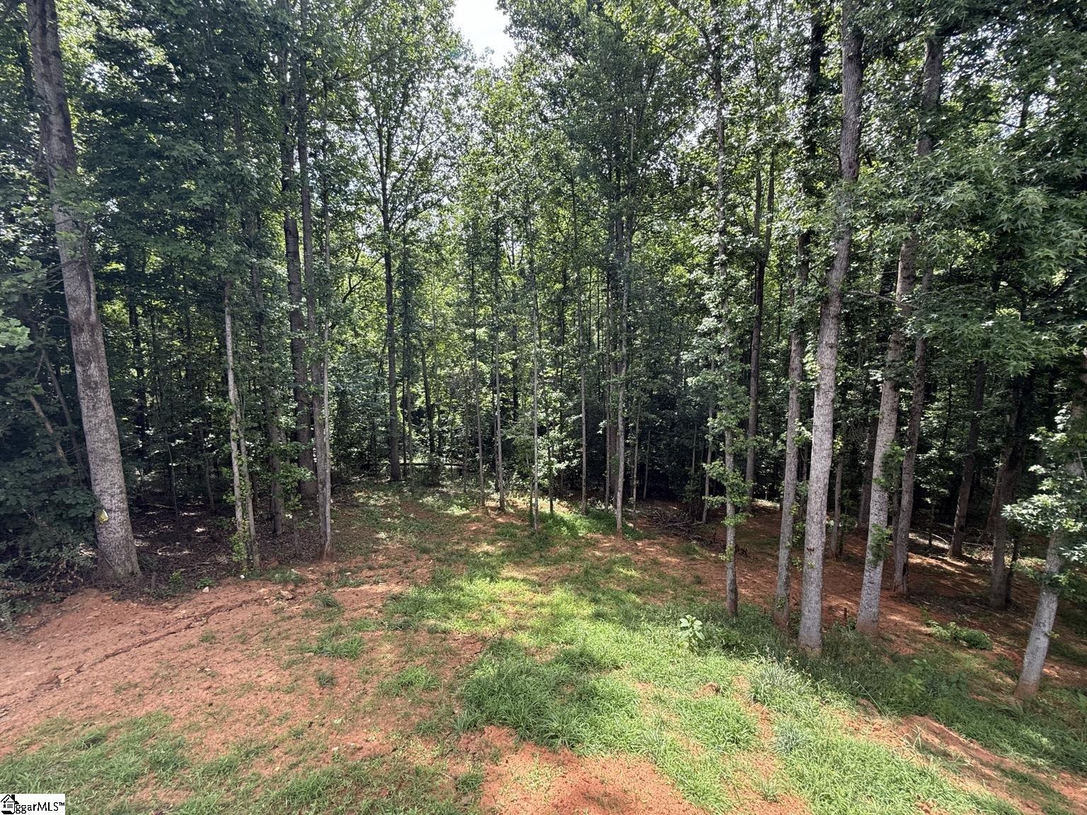 129 Faulkner Circle Greer, SC 29651 - Photo 30 of 30