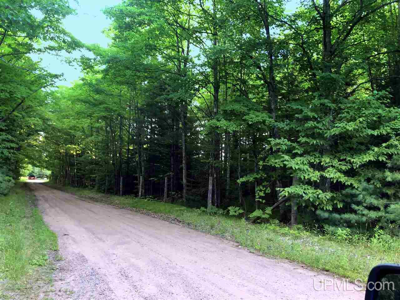 Tbd Tbd Eek Road Gwinn, MI 49841 - Photo 8 of 18