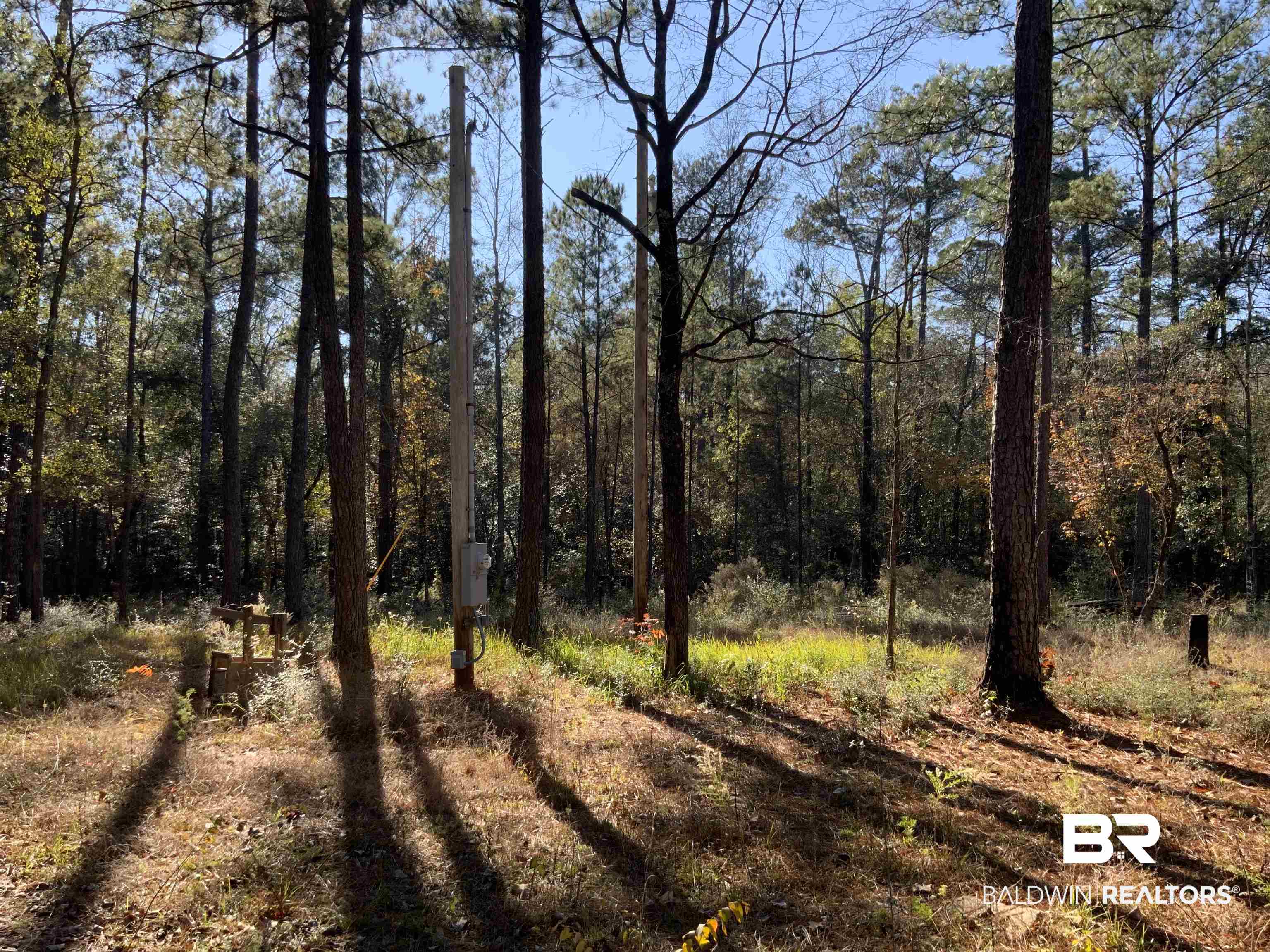 10 Drinkard Road Bay Minette, AL 36507 - Photo 5 of 16 View of woods