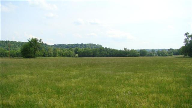 3372 Springplace Road Lewisburg, TN 37091 - Photo 3 of 20 Gallery Image 3