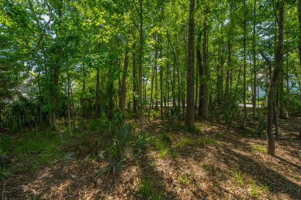 $1,315,000 | 1732 West Canning Drive, Mount Pleasant, SC 29466