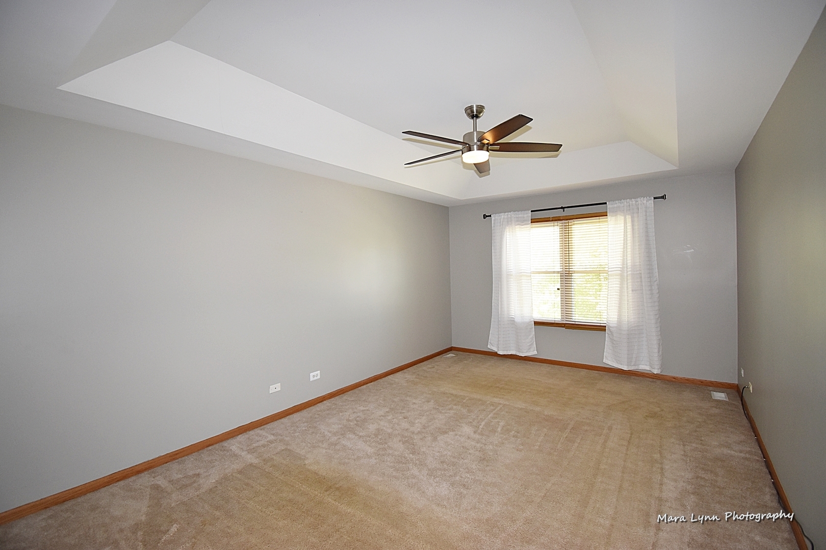 548 Lewis Road Geneva, IL 60134 - Photo 23 of 47 an empty room with windows and ceiling fan