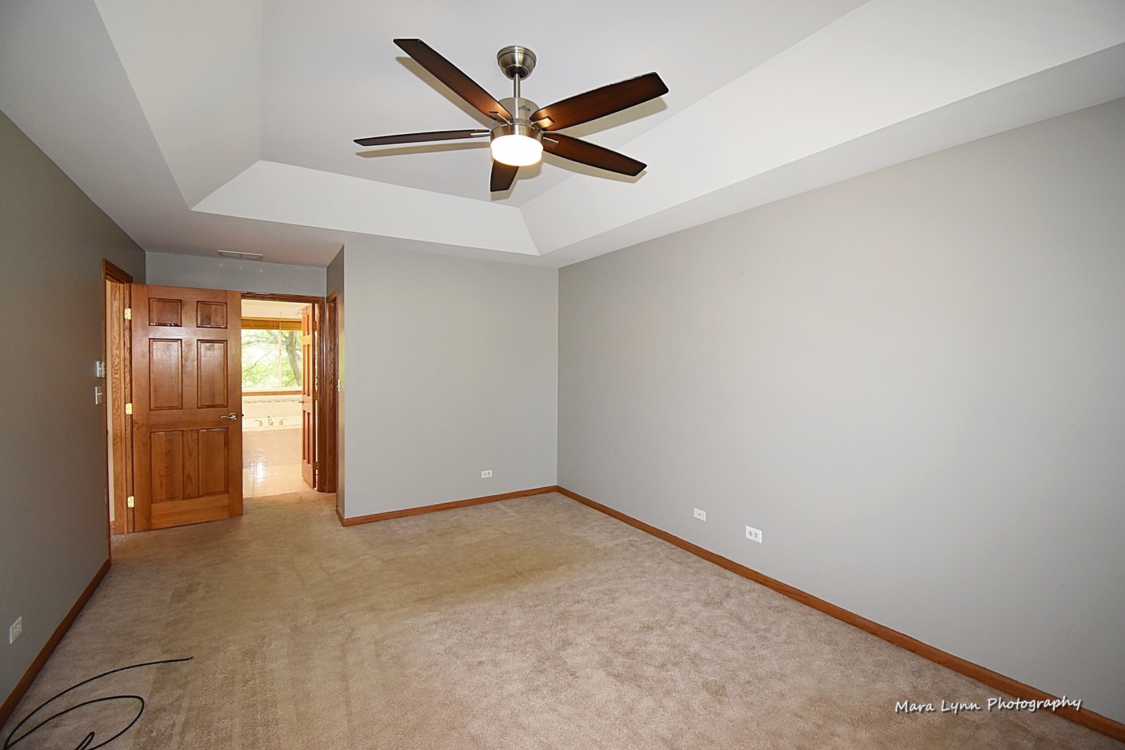 548 Lewis Road Geneva, IL 60134 - Photo 25 of 47 an empty room with closet and windows
