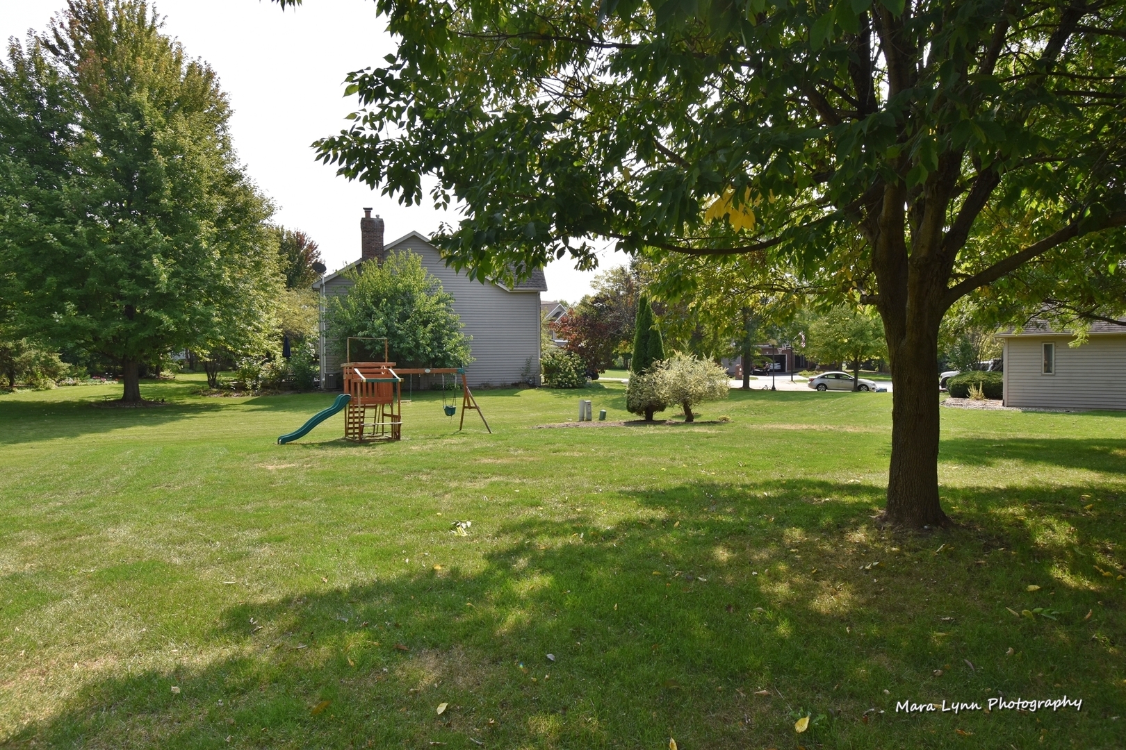 548 Lewis Road Geneva, IL 60134 - Photo 42 of 47 a view of a park with a tree