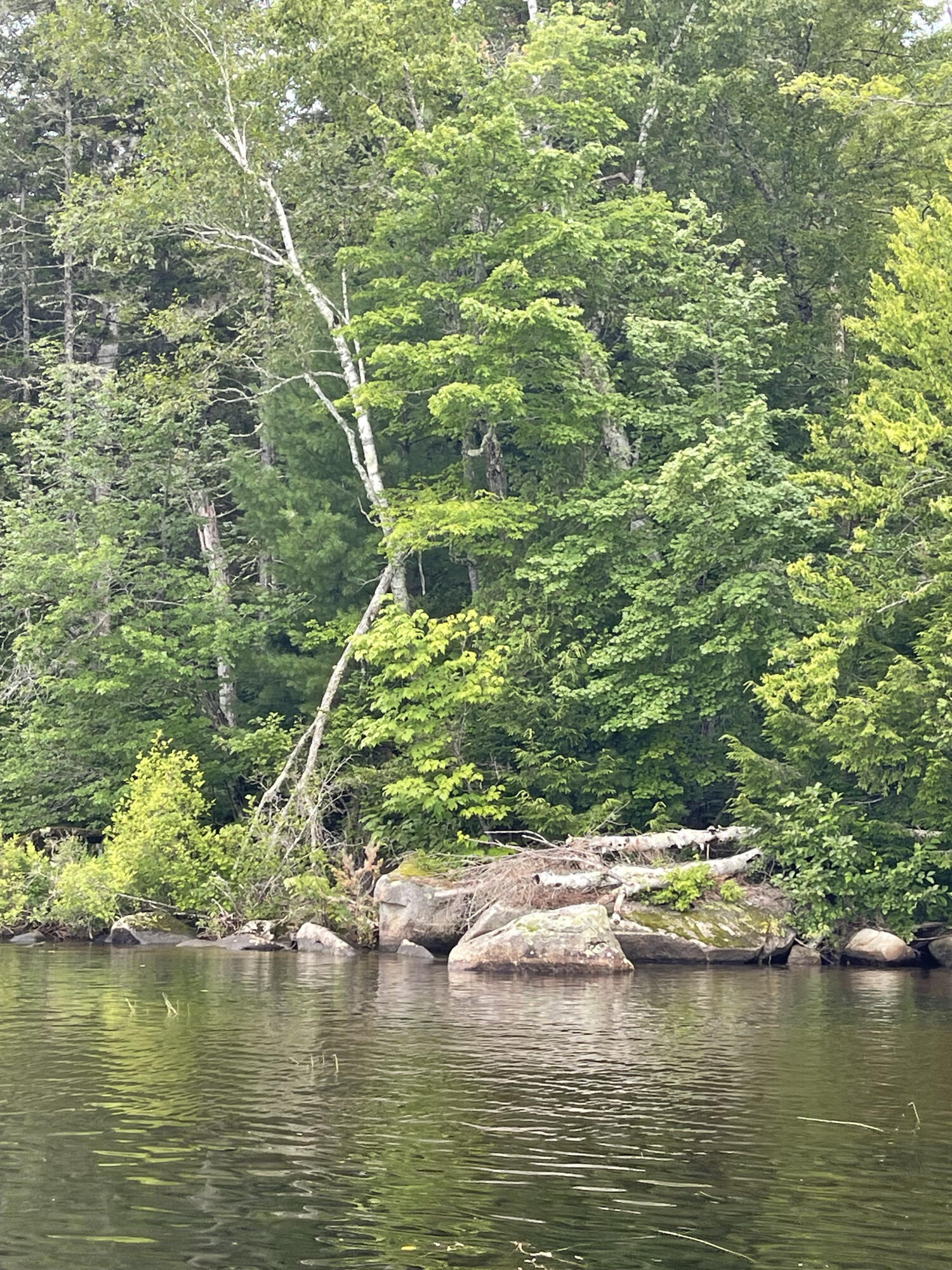 0 Stubbs Island Willimantic, ME 04443 - Photo 2 of 4 IMG_4372