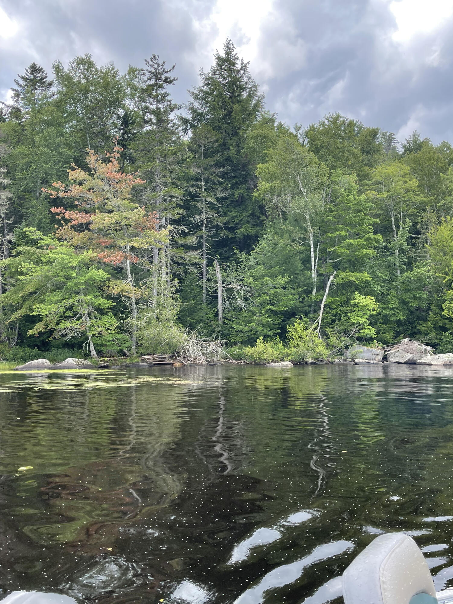 0 Stubbs Island Willimantic, ME 04443 - Photo 3 of 4 IMG_4376