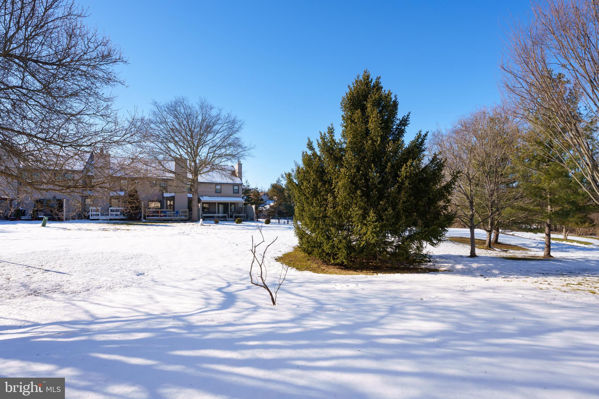 76 Castleton Road Princeton, NJ 08540 - Photo 26 of 27 View from Back Yard