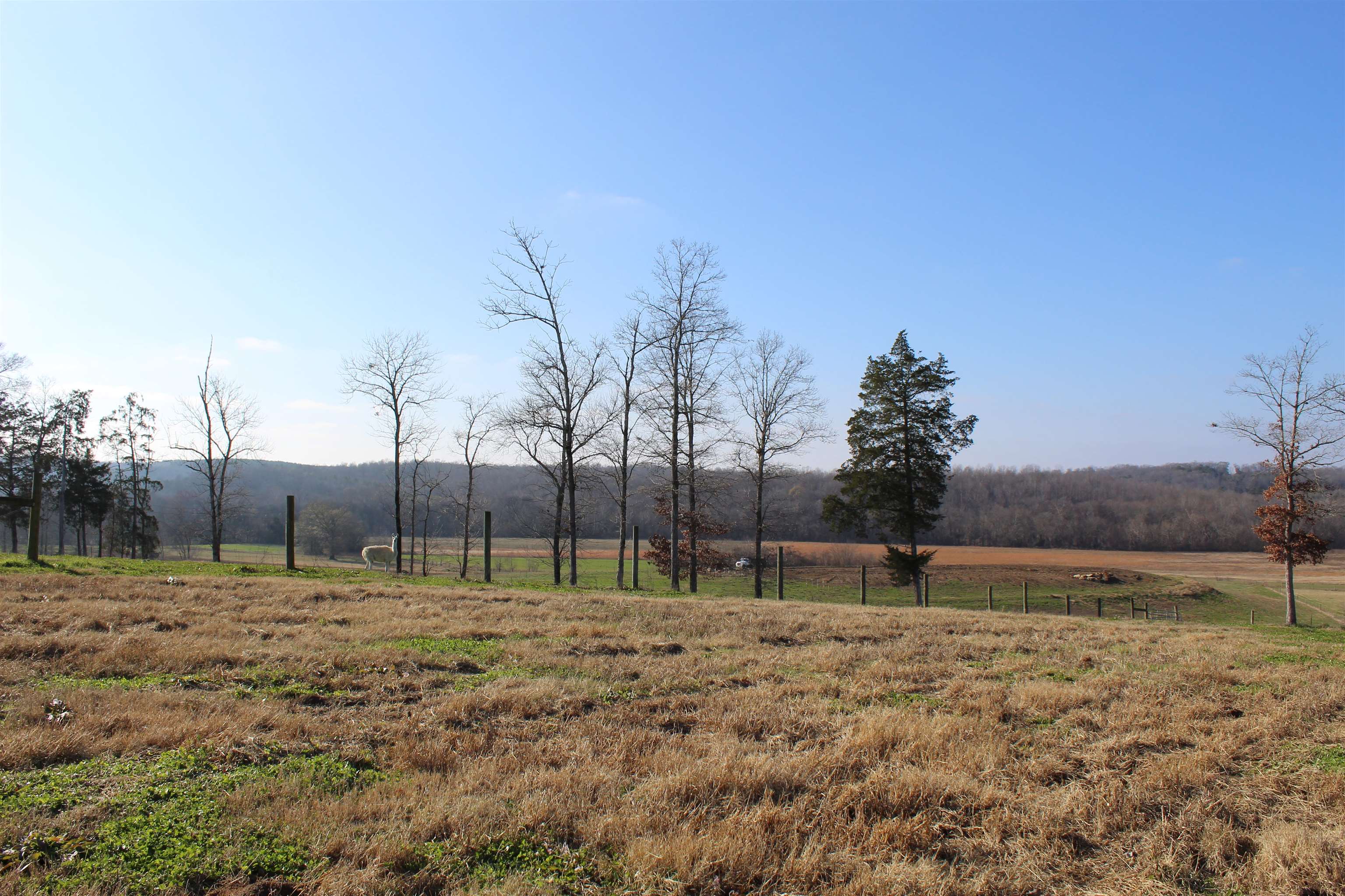 1275 Nance Bend Road Clifton, TN 38425 - Photo 13 of 39 a view of outdoor space with green field