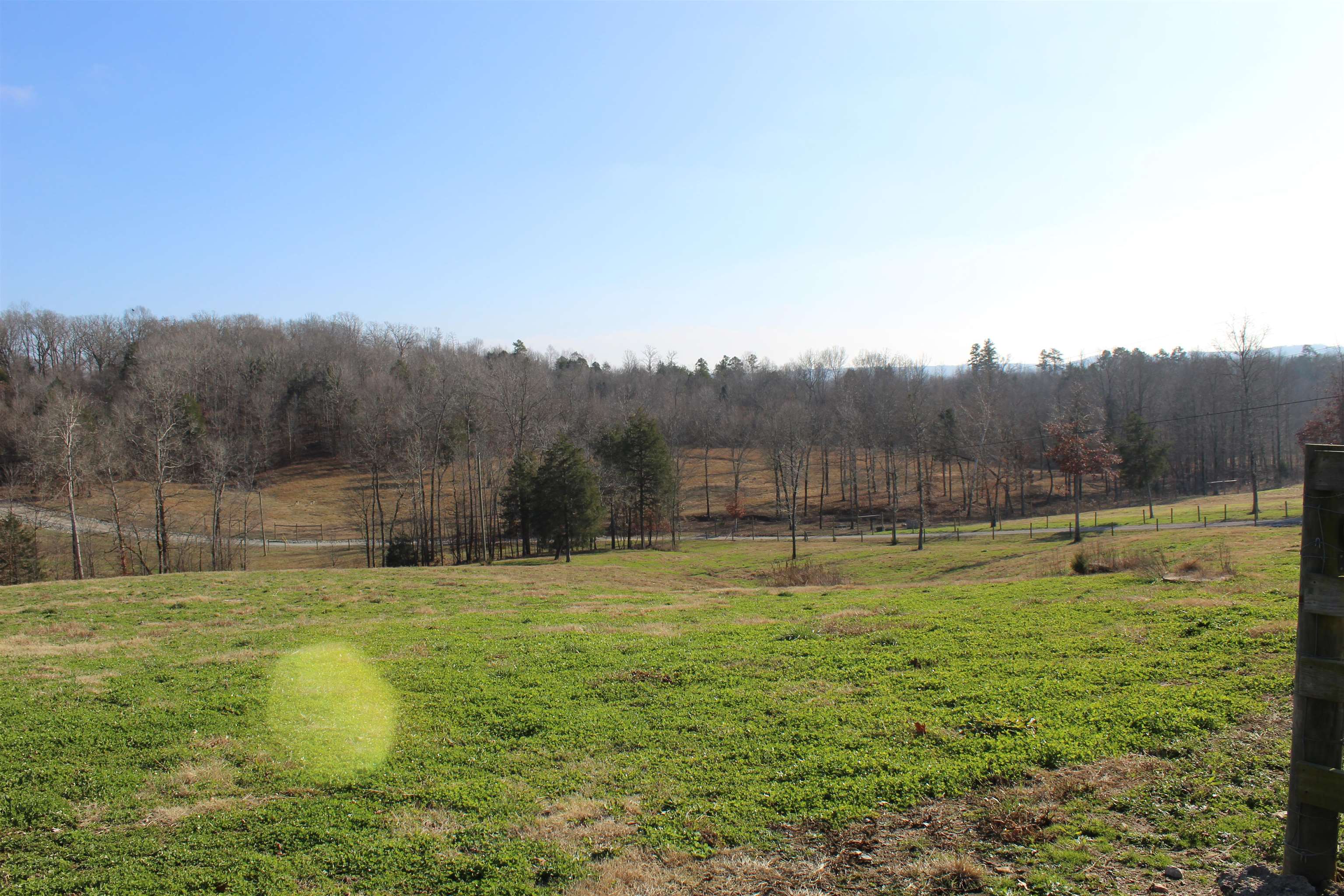 1275 Nance Bend Road Clifton, TN 38425 - Photo 15 of 39 a view of an outdoor space and a yard