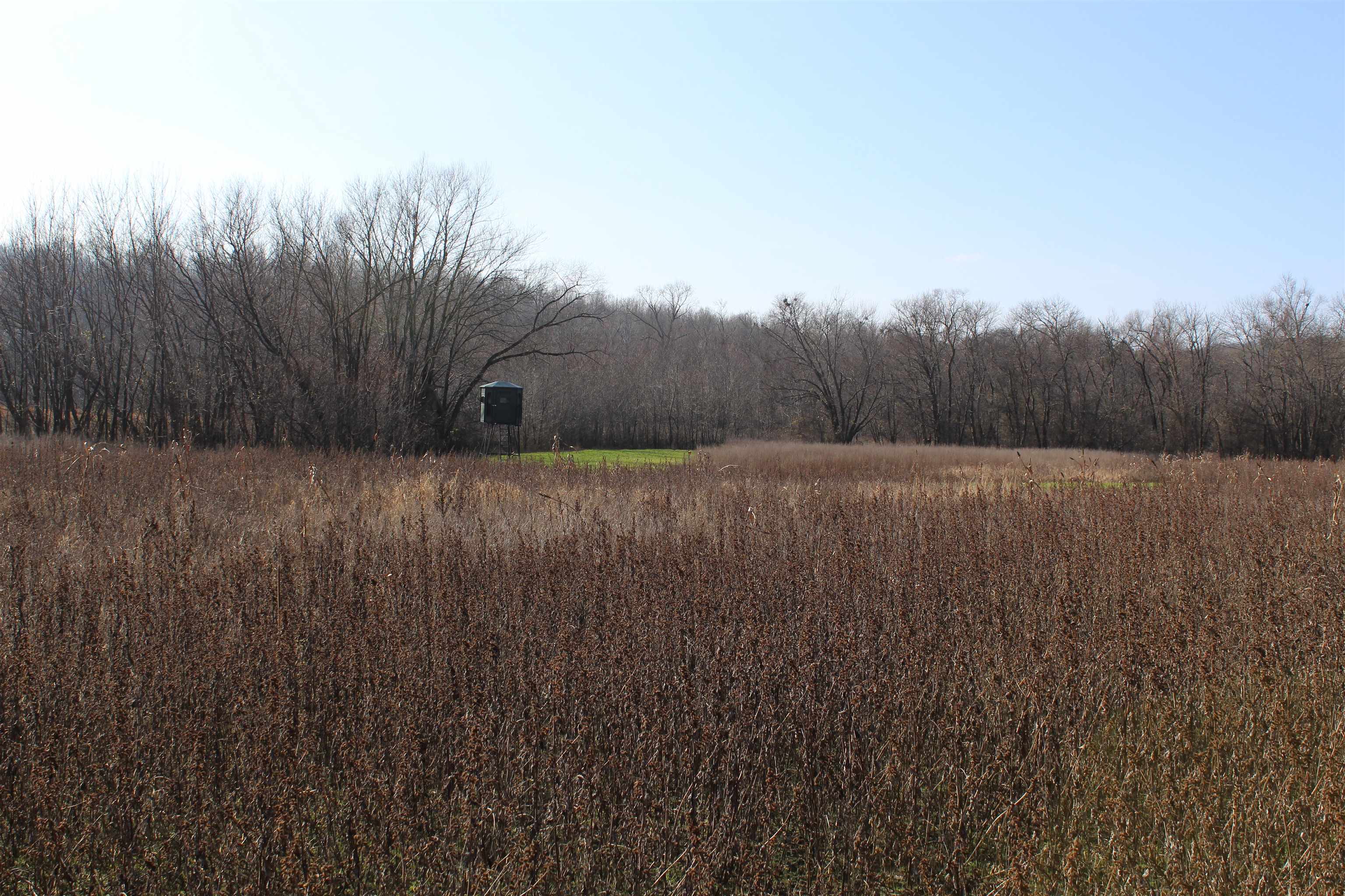 1275 Nance Bend Road Clifton, TN 38425 - Photo 20 of 39 a view of a yard
