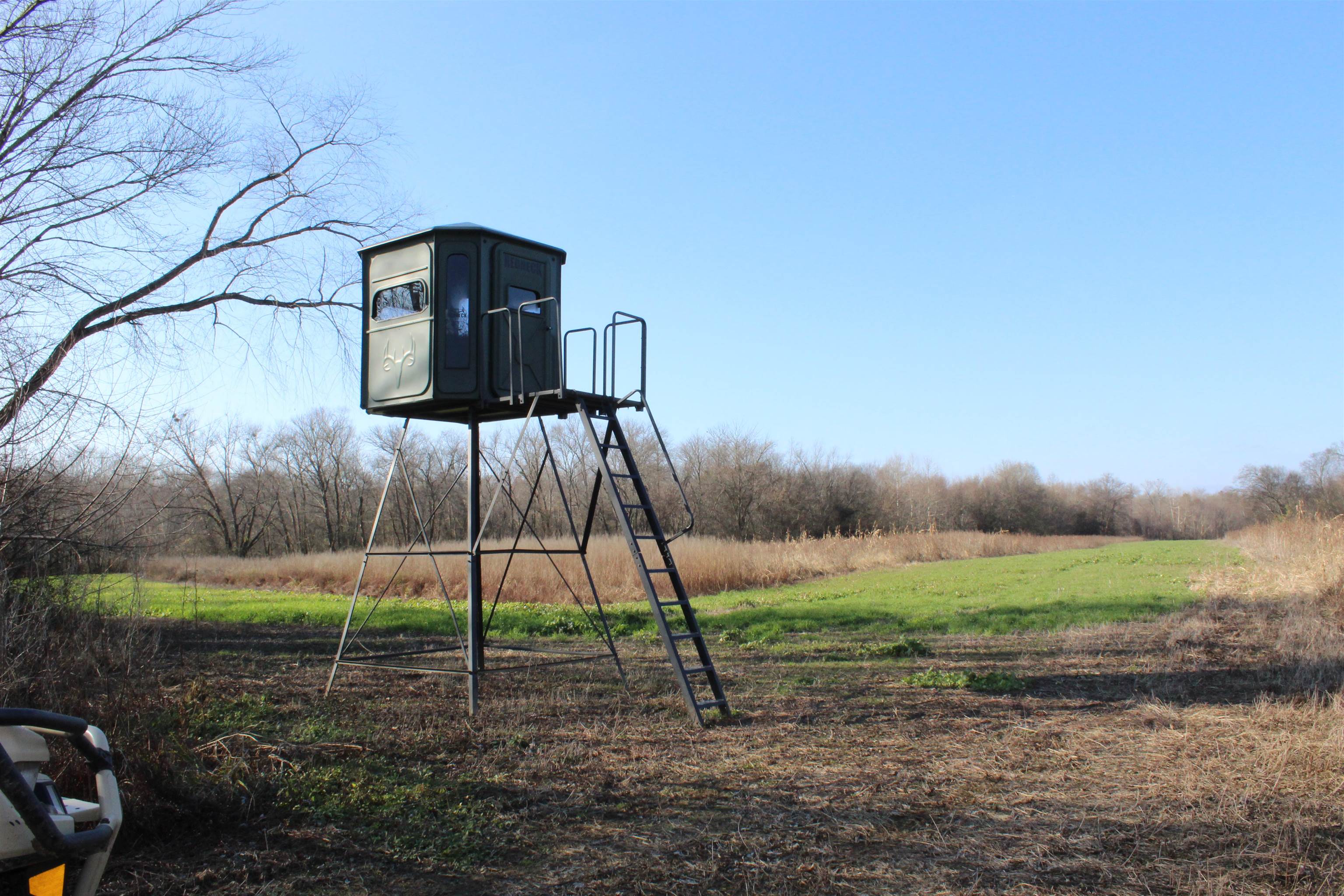 1275 Nance Bend Road Clifton, TN 38425 - Photo 23 of 39 a front view of a house with a yard
