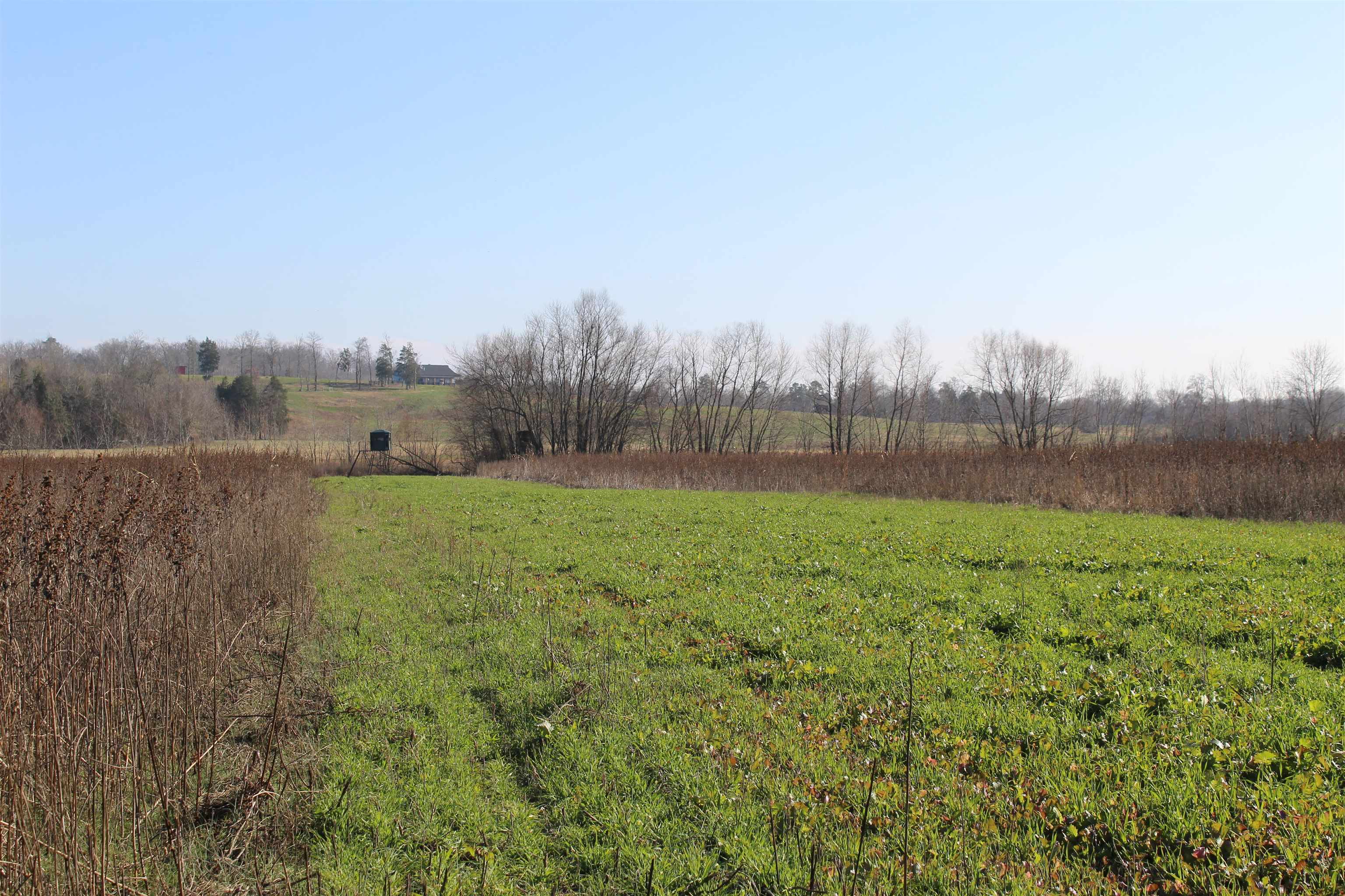 1275 Nance Bend Road Clifton, TN 38425 - Photo 24 of 39 a view of outdoor space and yard