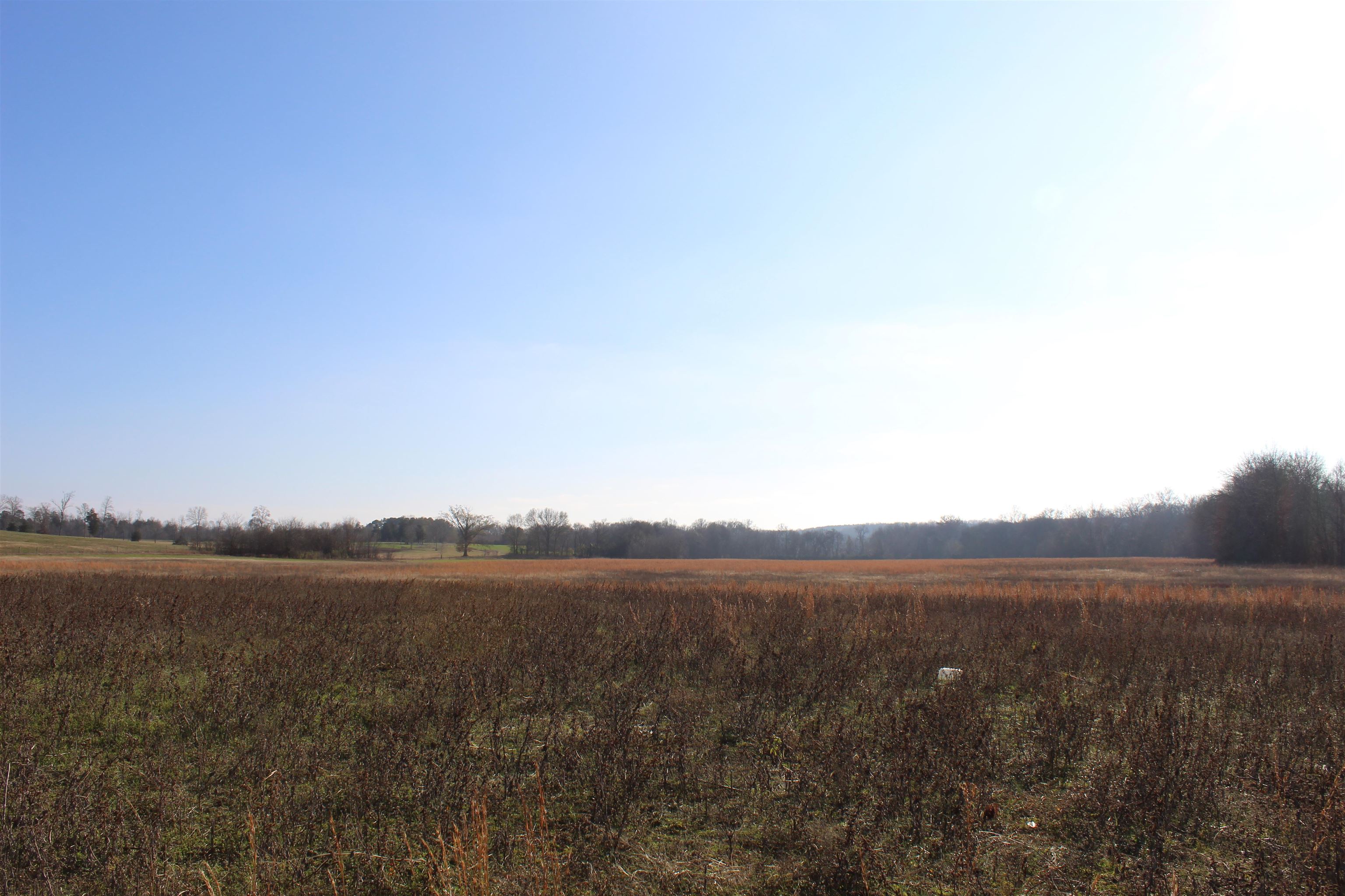 1275 Nance Bend Road Clifton, TN 38425 - Photo 26 of 39 a view of lake and mountain