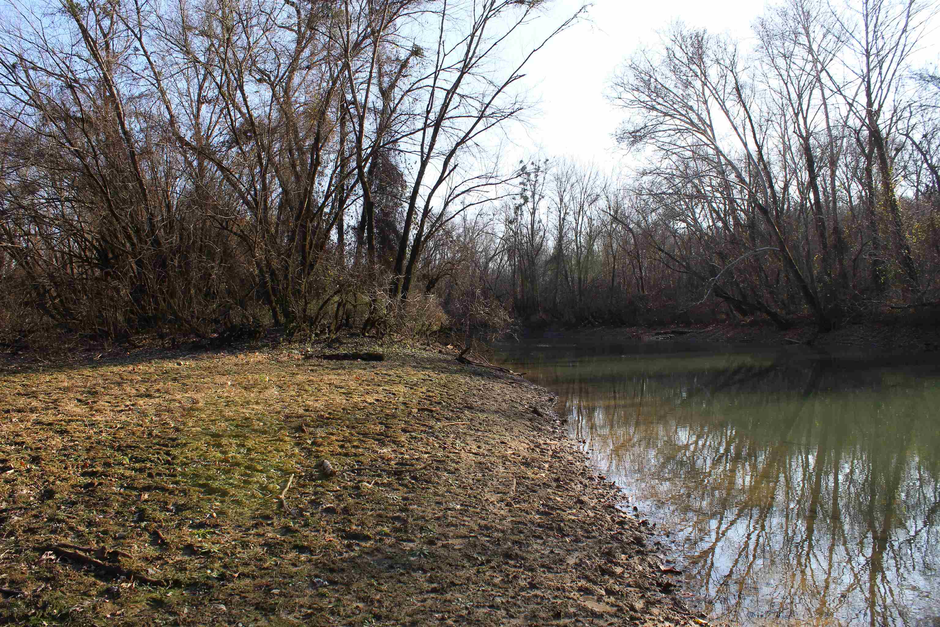1275 Nance Bend Road Clifton, TN 38425 - Photo 27 of 39 a backyard of a house with lots of green space