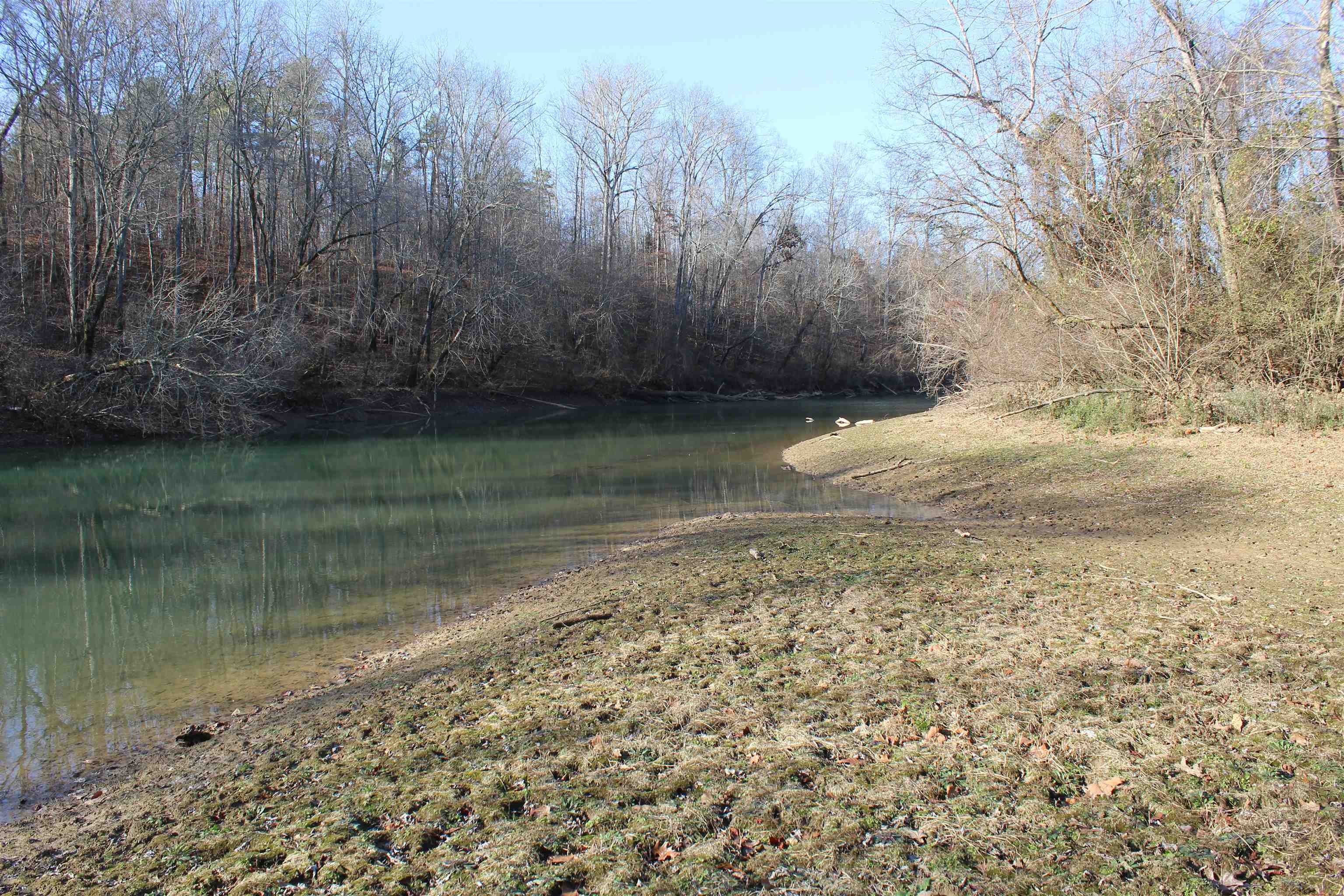 1275 Nance Bend Road Clifton, TN 38425 - Photo 28 of 39 a view of a lake view