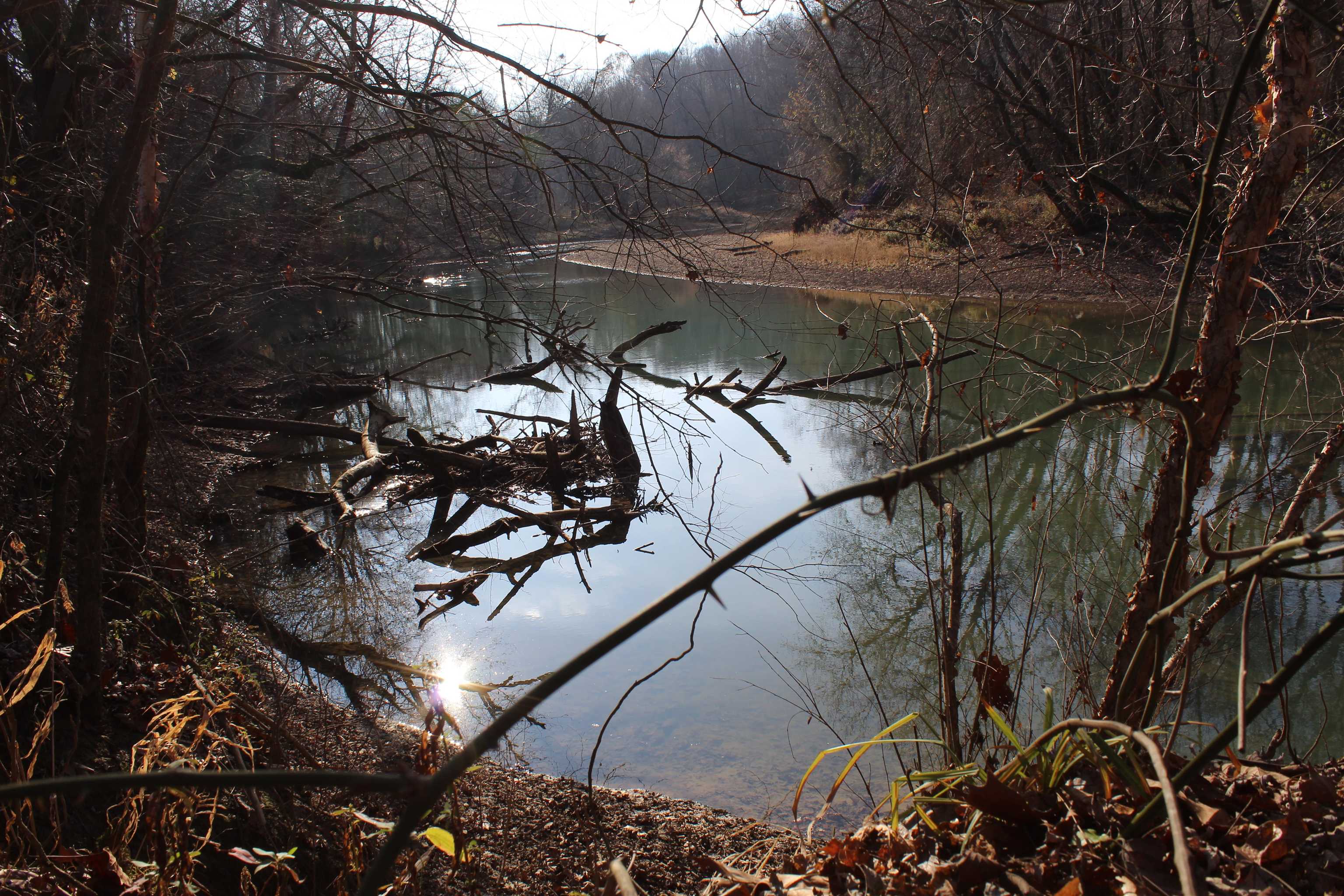 1275 Nance Bend Road Clifton, TN 38425 - Photo 29 of 39 a view of outdoor space