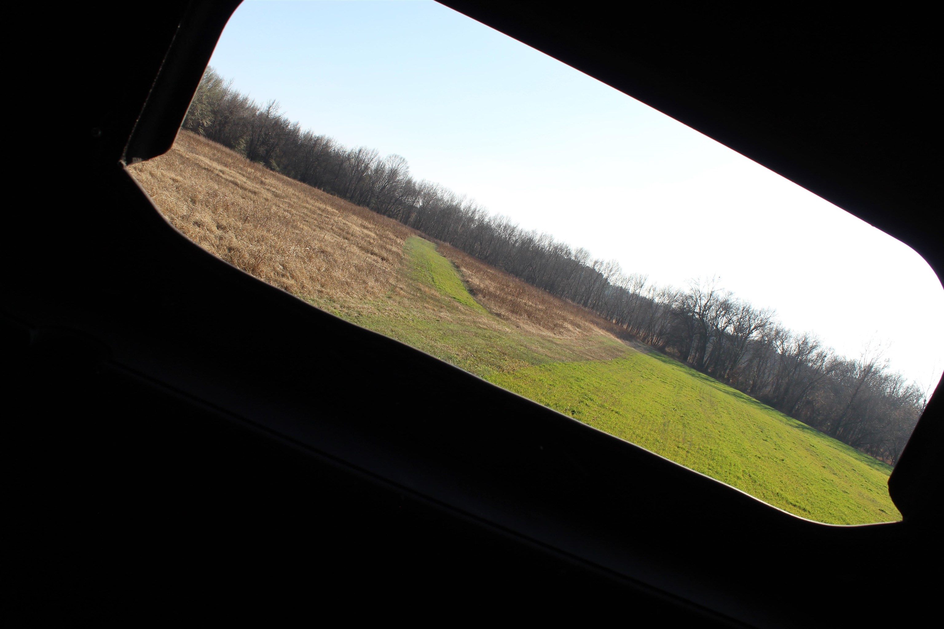 1275 Nance Bend Road Clifton, TN 38425 - Photo 30 of 39 a view of swimming pool from a balcony
