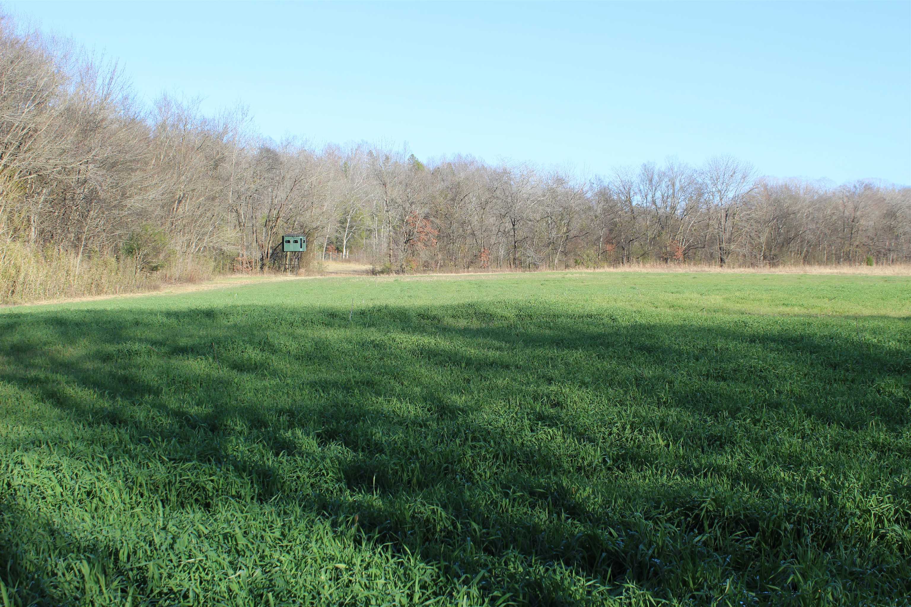 1275 Nance Bend Road Clifton, TN 38425 - Photo 31 of 39 a view of field with trees in background