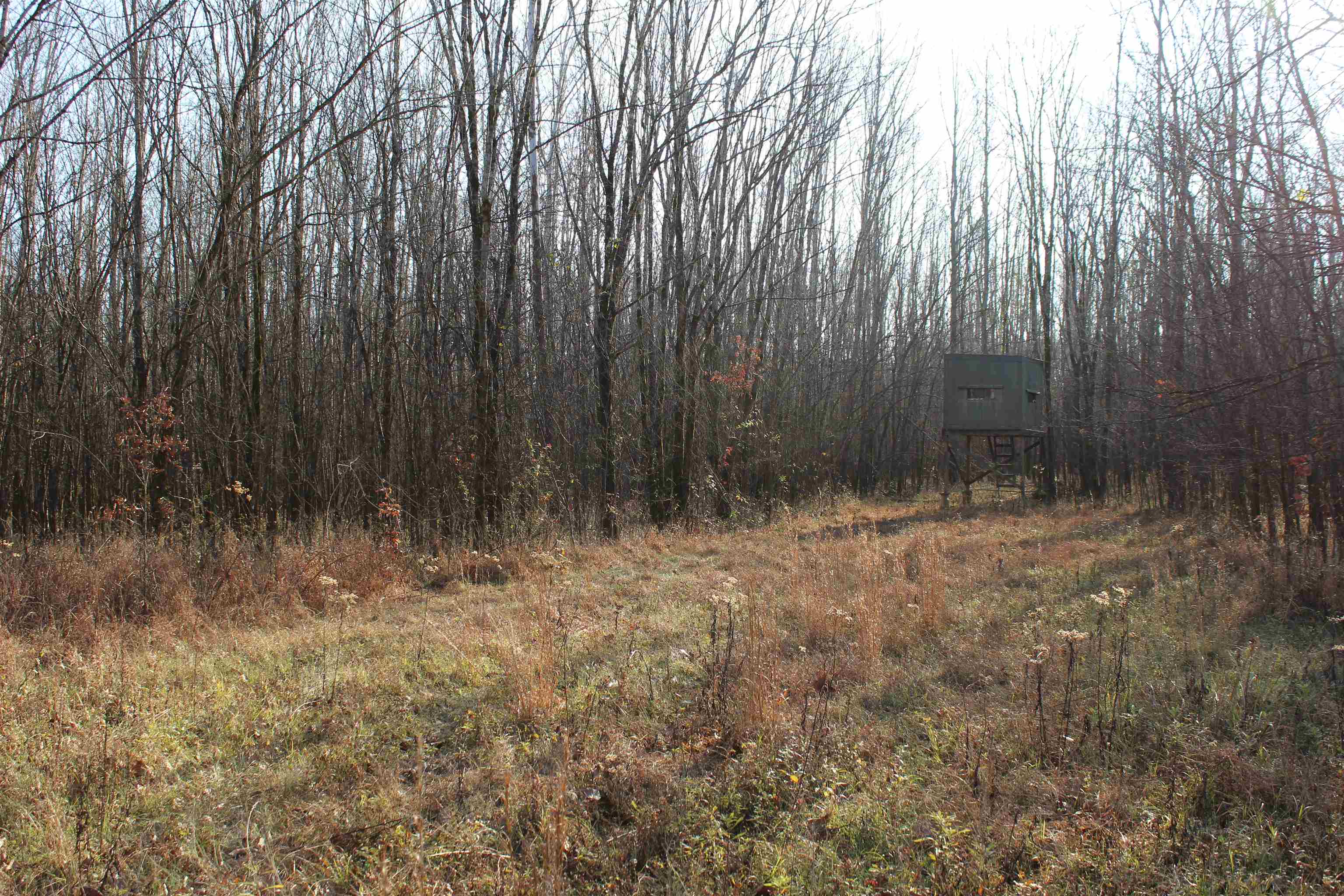 1275 Nance Bend Road Clifton, TN 38425 - Photo 35 of 39 a view of backyard with wooden fence